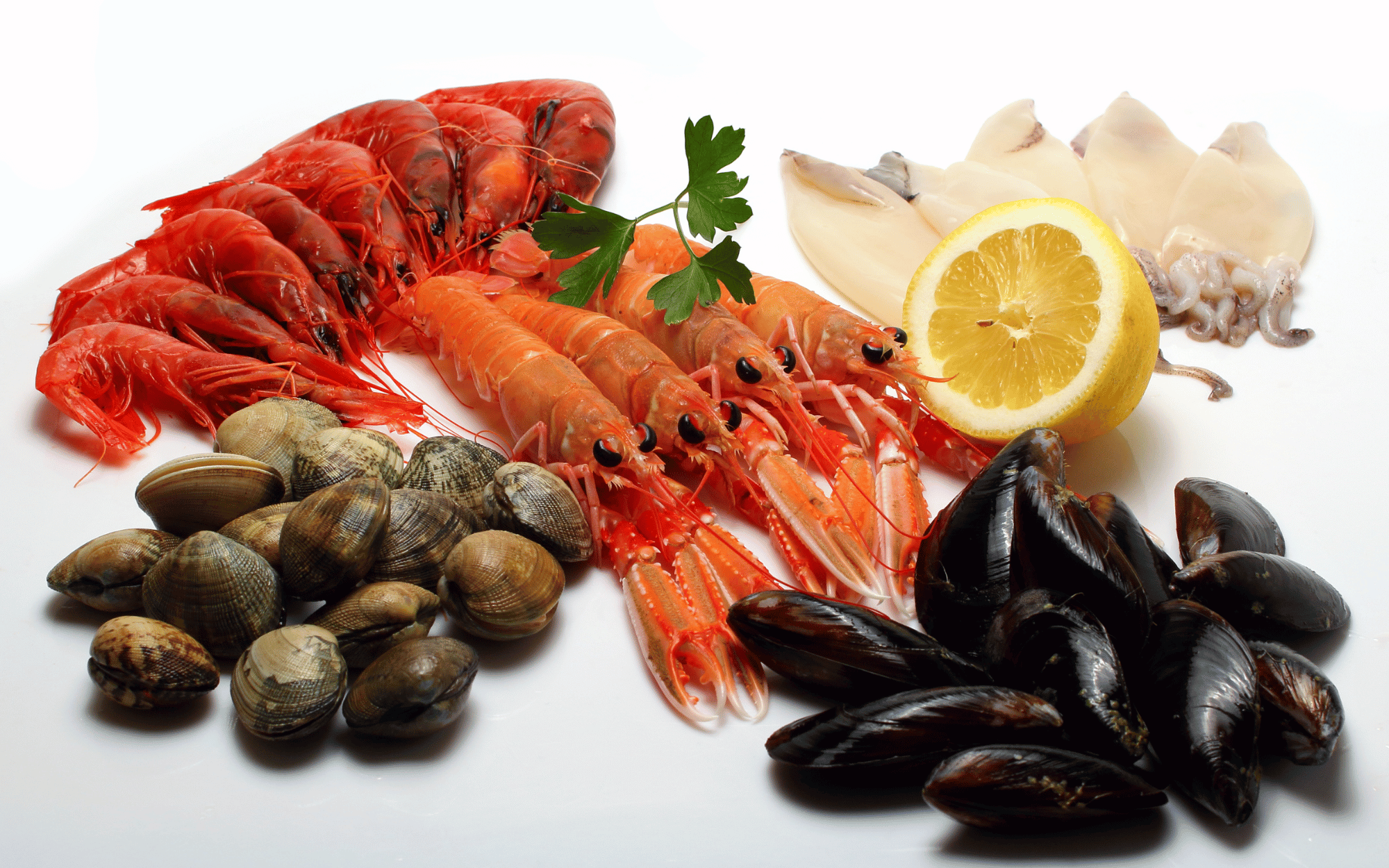 Sea Shell Foods
